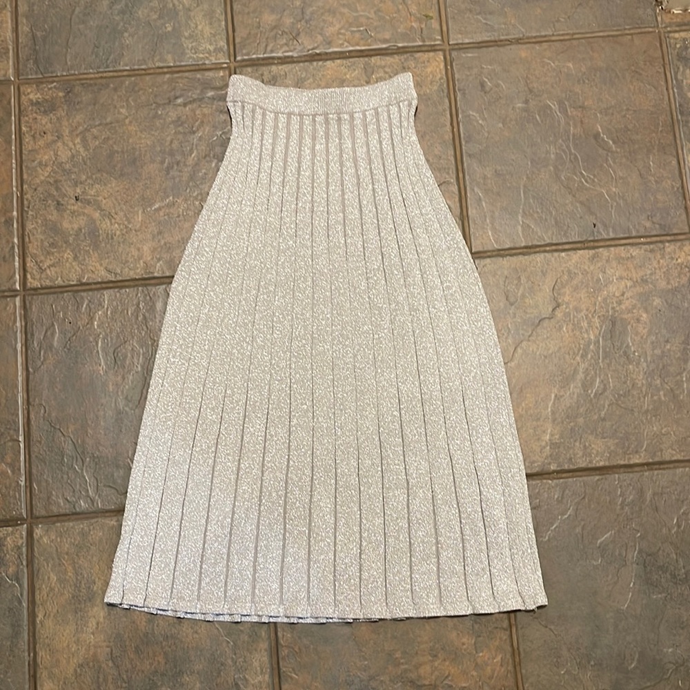 Wilfred skirt NWOT